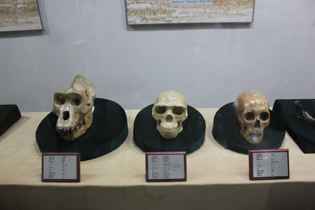 周口店遺址博物館