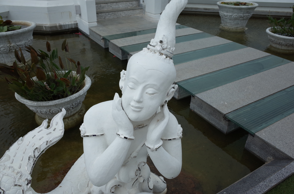 ワットトゥンセッティ