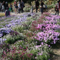 山口ゆめ花博