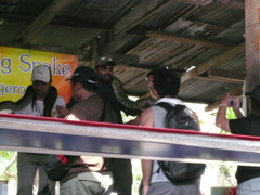 damnun saduak water market