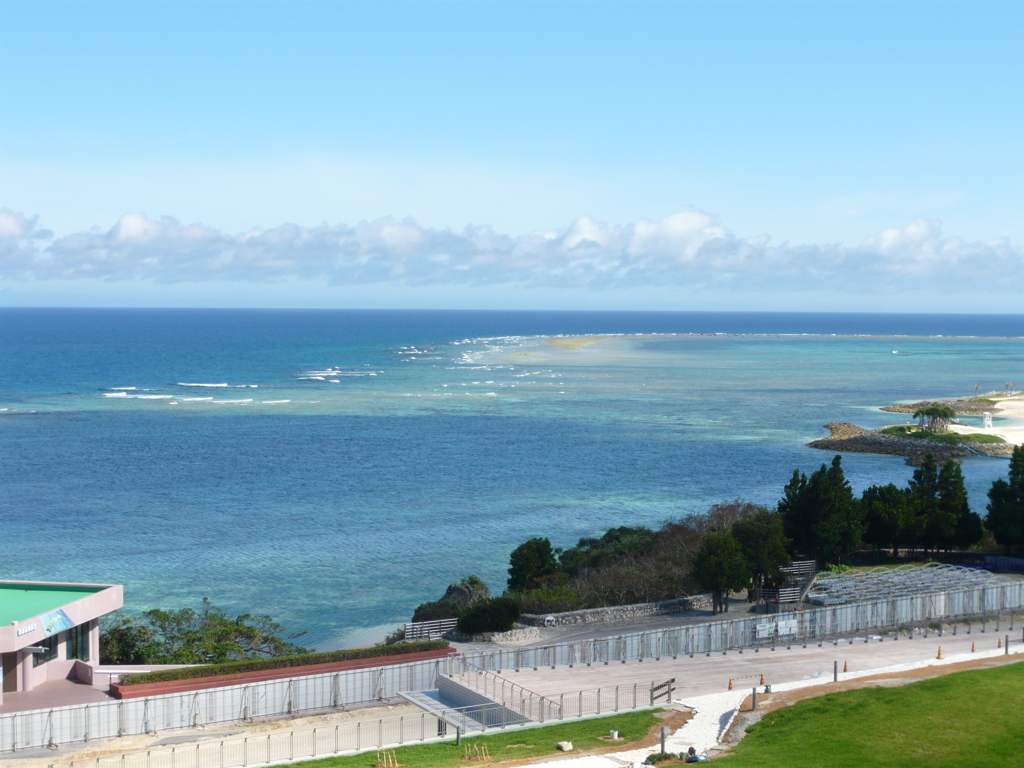 美ら海水族館散策