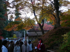 中尊寺
