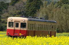 菜の花鉄道