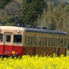 菜の花鉄道