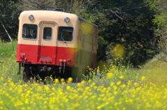 菜の花鉄道　～次の駅へ