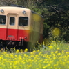 菜の花鉄道　～次の駅へ