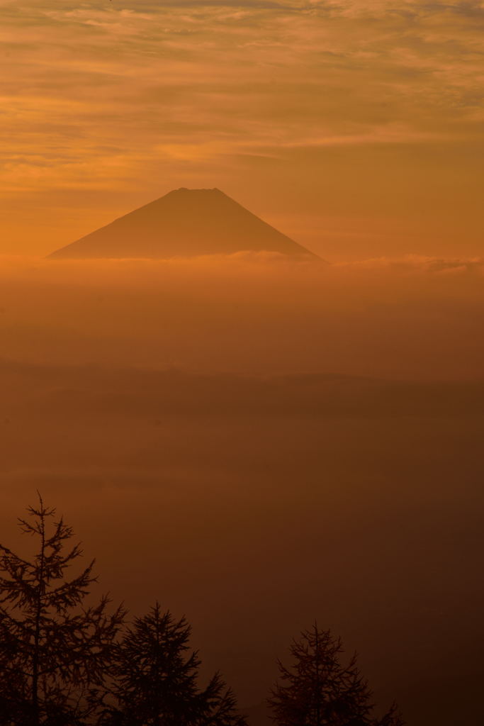 朝富士