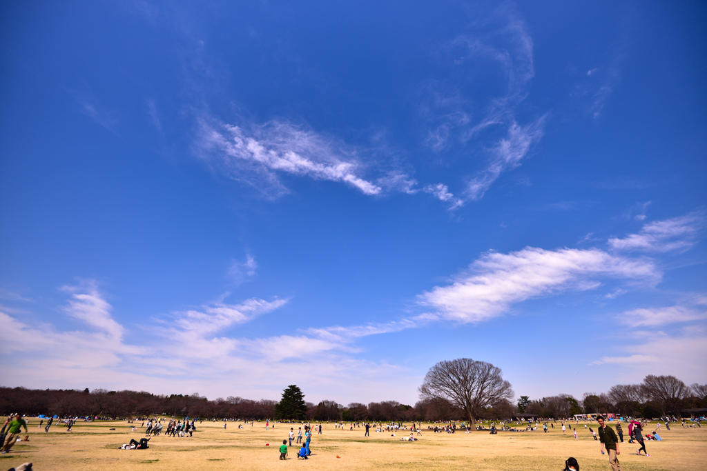 青空