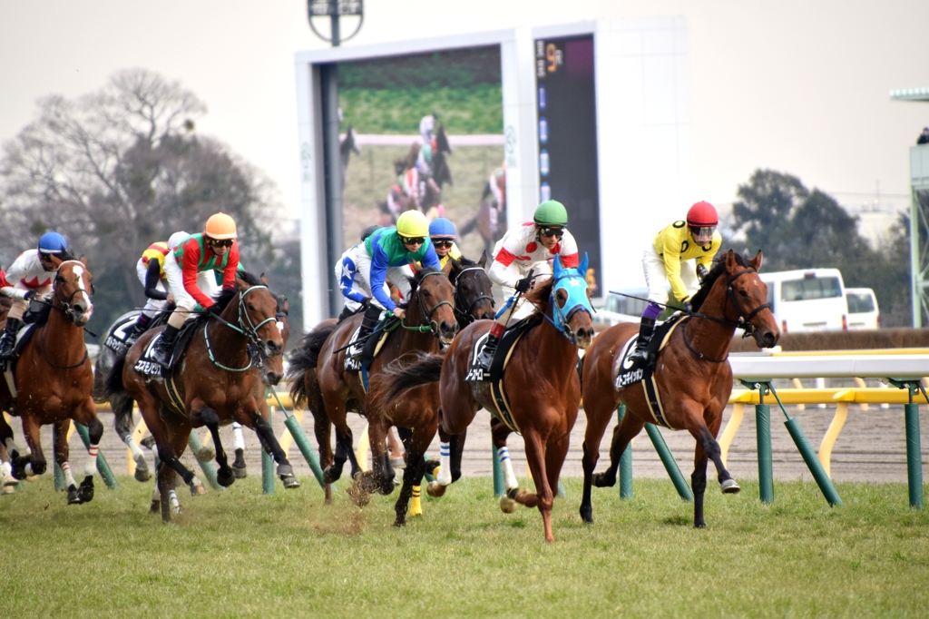 東京競馬場 #2