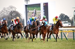 東京競馬場 #2