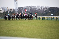 東京競馬場 #1
