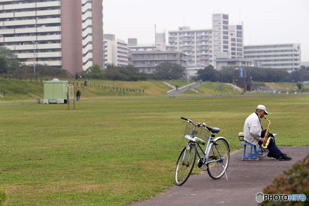 散歩道のある日---③