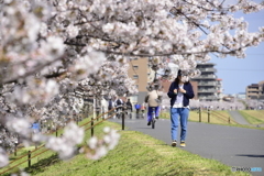 みんなの春が来た！---④