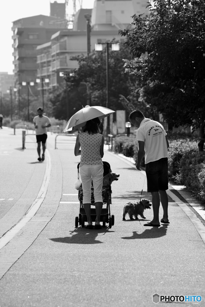 モノクロ散歩---⑧