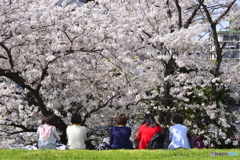 みんなの春が来た！---②