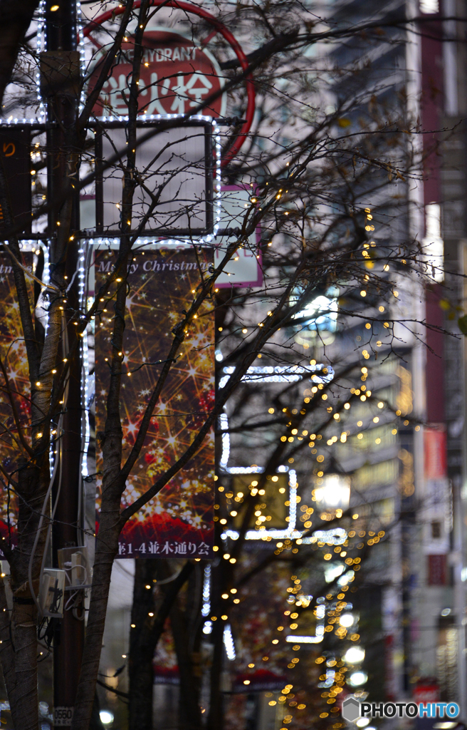 今年はちょっと寂しいイルミネーション