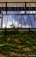 秋・街角----(21)