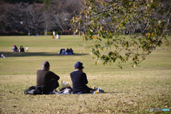 紅葉散歩---⑬