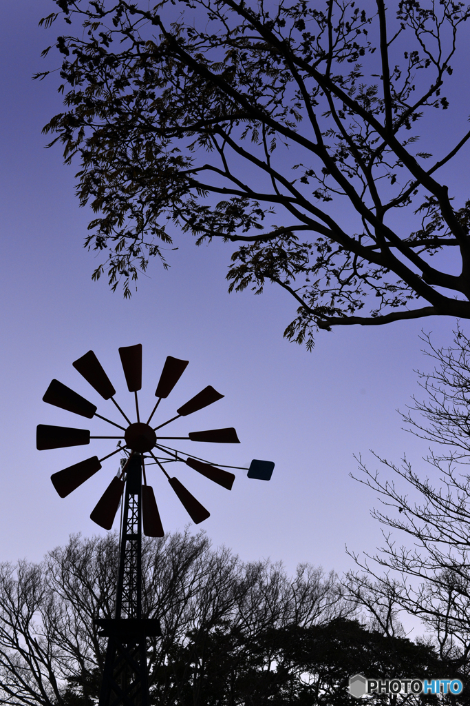 フランス山の風車