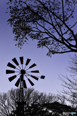 フランス山の風車