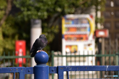 うつらうつらが良い