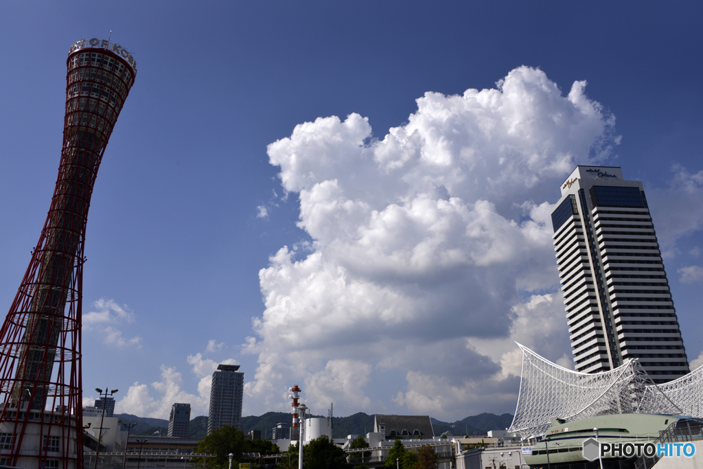 The  Kobe ---①