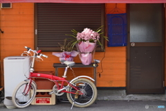 開店祝い