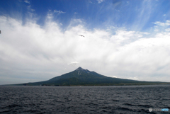 良い御年をお迎え下さい