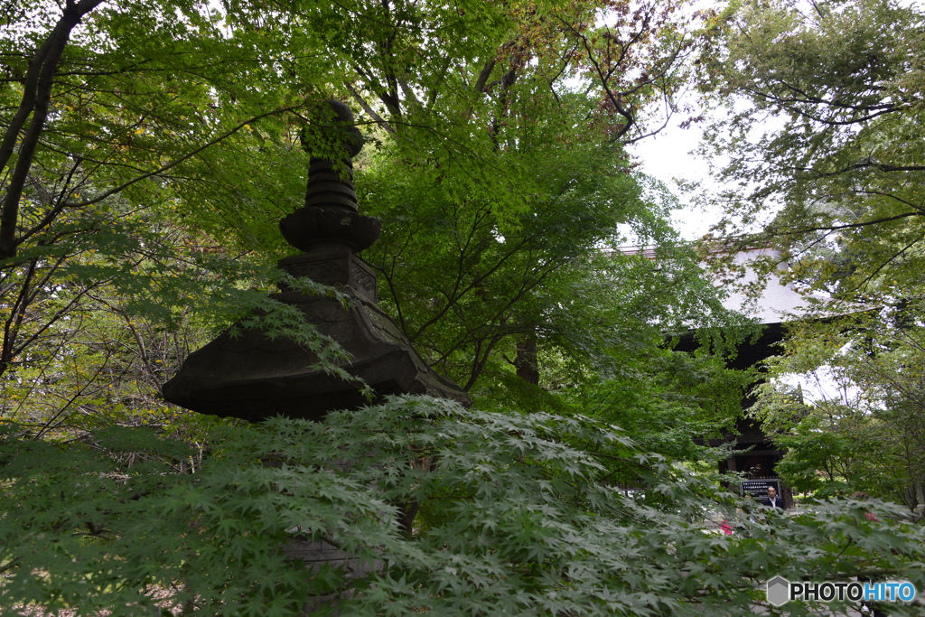 九品仏浄真寺---①