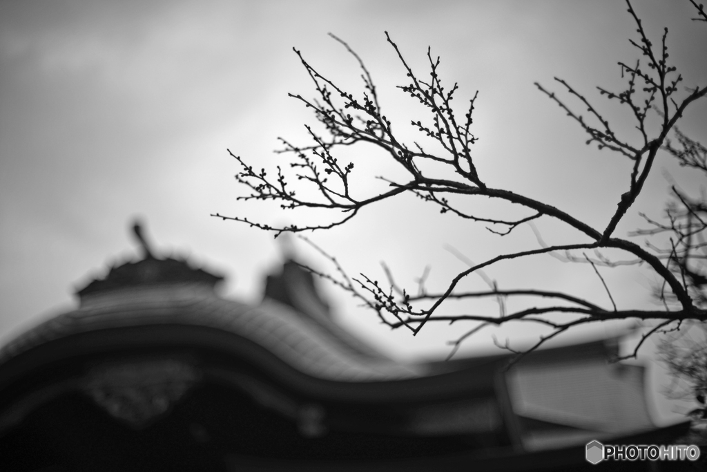 まだまだ遠い春・・・