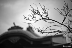 まだまだ遠い春・・・