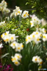 目立ちたがり屋