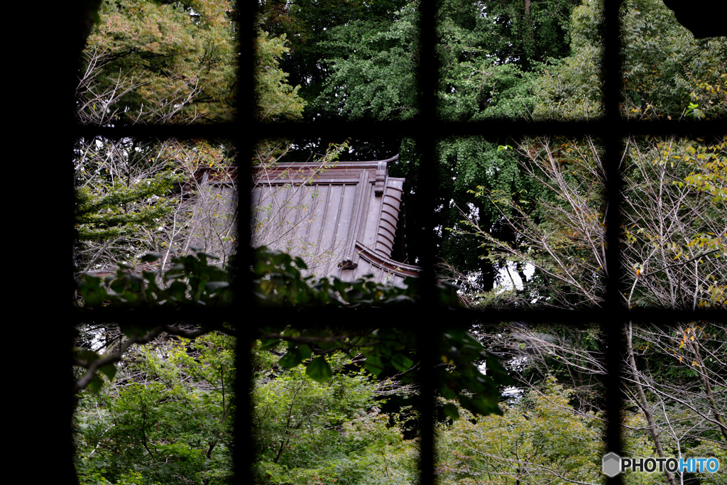 浄真寺秋間近---④