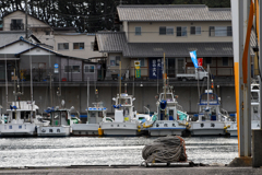 田子の浦港にて---①