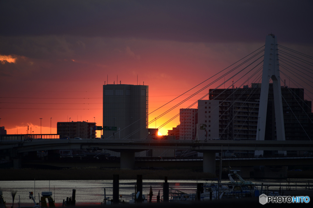 多摩川夕暮れ散歩---②
