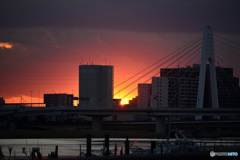 多摩川夕暮れ散歩---②