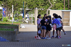ご近所散歩---協議中