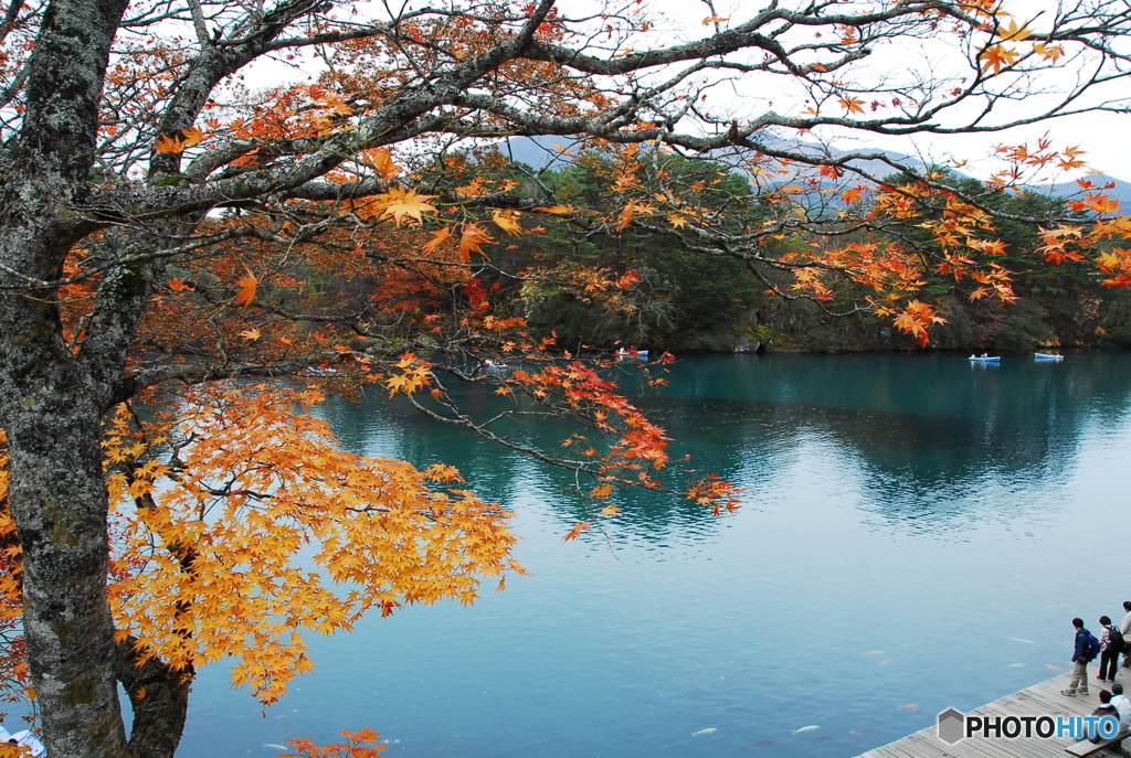 紅葉と色光る沼