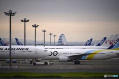 ある日の羽田空港----①