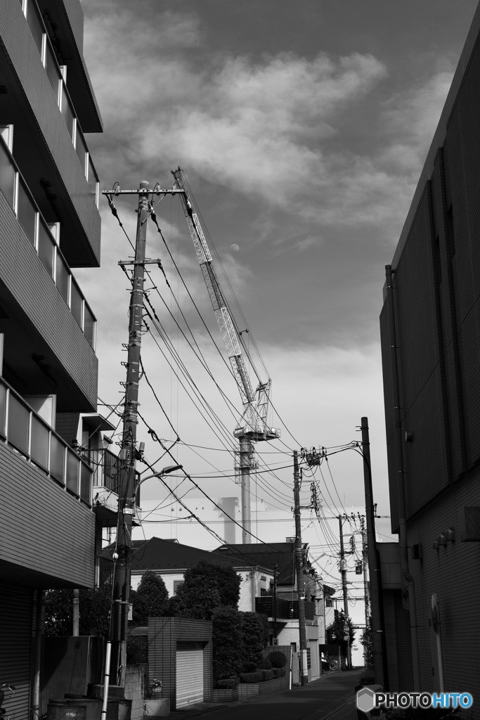 モノクロモード練習---③