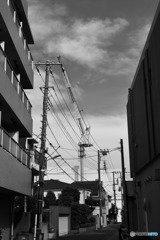 モノクロモード練習---③
