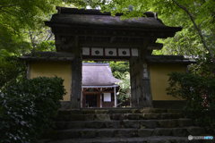 大原の尼寺にて・・・