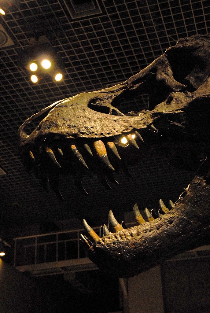 T-rex