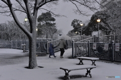18豪雪・東京----⑧