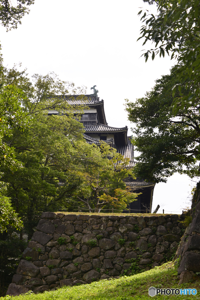 天主遠景