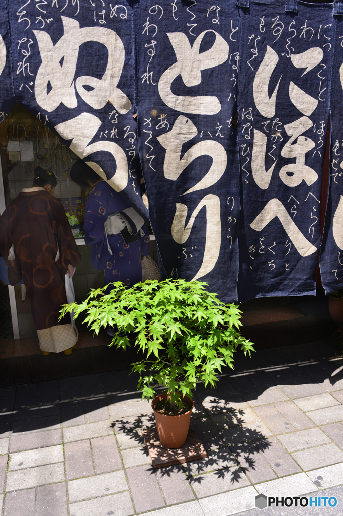 深川散歩