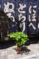 深川散歩