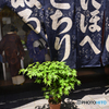 深川散歩