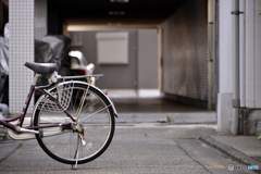 秘密の通り道