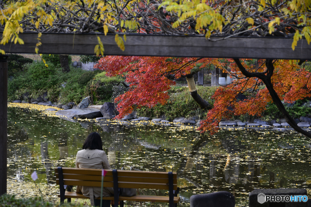 日比谷公園にて秋景----⑦